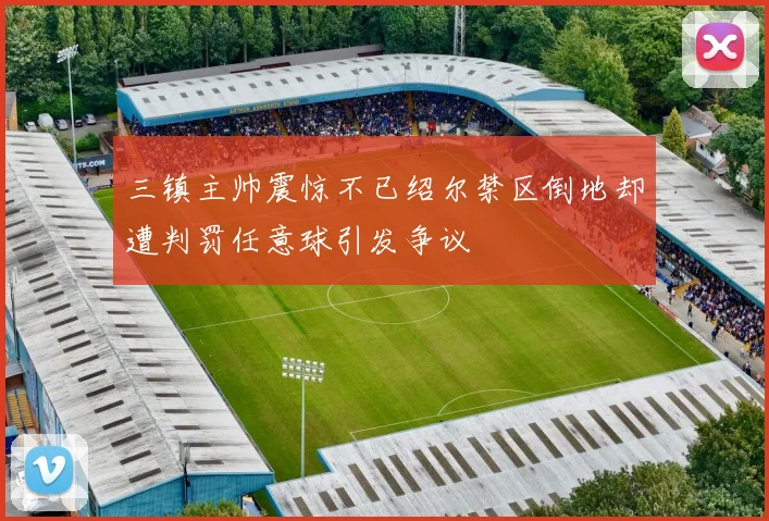 三镇主帅震惊不已绍尔禁区倒地却遭判罚任意球引发争议